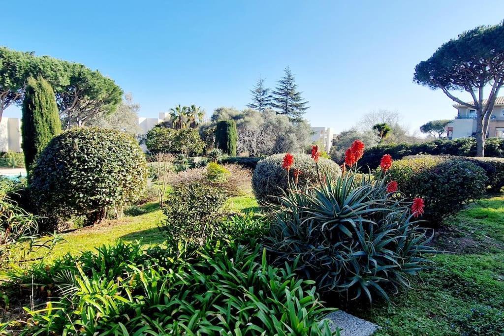 Studio Antibes Avec Piscine Exterior foto
